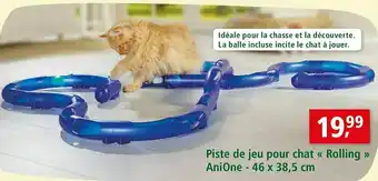 Anione piste de jeu pour chat « rolling »