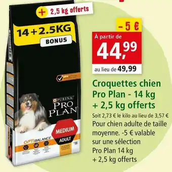 Maxi Zoo Purina croquettes chien pro plan offre