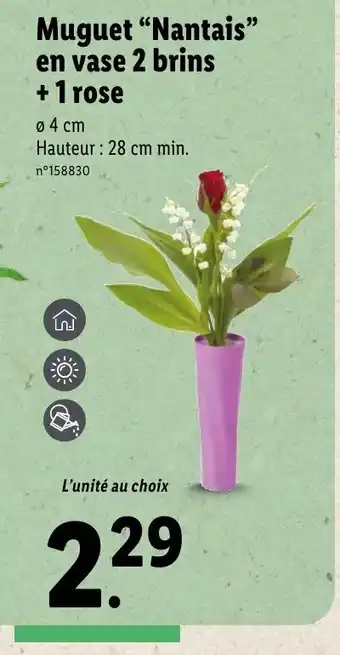 Muguet nantais en vase 2 brins + 1 rose