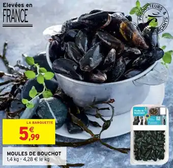Intermarché Moules de bouchot offre