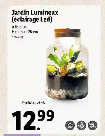 Lidl Jardin Lumineux (éclairage Led) offre