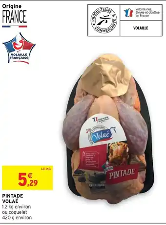 Intermarché Pintade Volaé offre