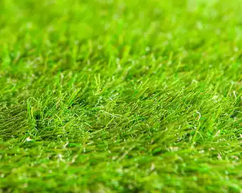 Bricorama Gazon synthétique 1x5m hauteur 30mm vert offre