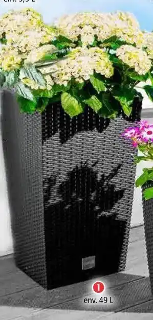 Norma Colonne à plantes design offre
