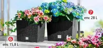 Norma Pot de Fleurs carré offre