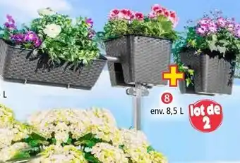 Norma 2 Jardinières pour balcon offre