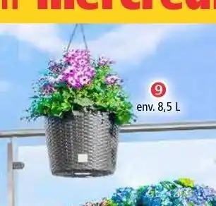 Norma Pot de fleurs offre