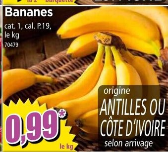 Norma Bananes offre