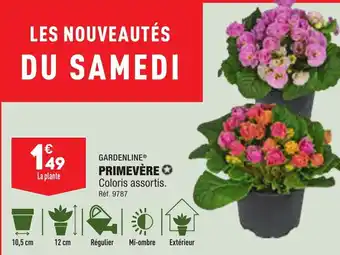 ALDI PRIMEVÈRE Coloris assortis. offre
