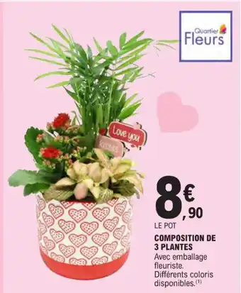 E.Leclerc COMPOSITION DE 3 PLANTES offre