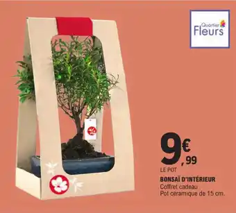 E.Leclerc BONSAÏ D'INTÉRIEUR offre