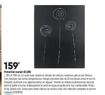 Bricorama Protection Murale SELENE offre
