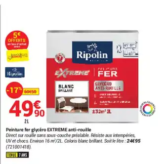 Bricorama Peinture Fer Glycéro EXTREME Anti-Rouille offre