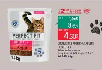 Match CROQUETTES POUR CHAT ADULTE PERFECT FIT offre