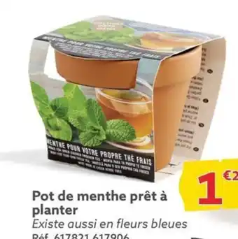 Gifi Pot de menthe prêt à planter offre