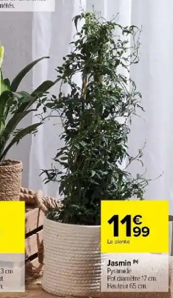Carrefour Market Jasmin offre