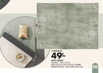 La Foir'Fouille TAPIS JOANNE offre