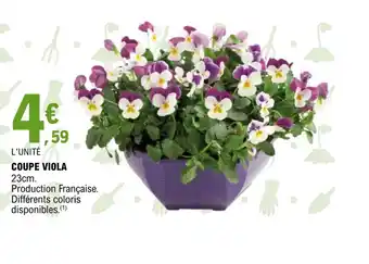 E.Leclerc Jardi COUPE VIOLA offre