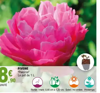 E.Leclerc Jardi PIVOINE offre