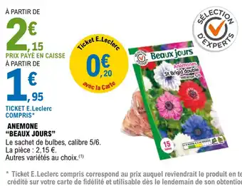 E.Leclerc Jardi ANEMONE BEAUX JOURS offre