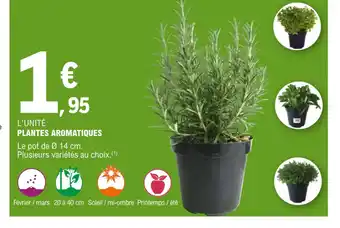 E.Leclerc Jardi PLANTES AROMATIQUES offre