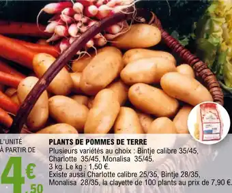 E.Leclerc Jardi PLANTS DE POMMES DE TERRE offre