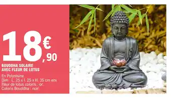 BOUDDHA SOLAIRE AVEC FLEUR DE LOTUS