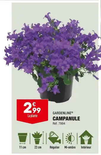 GARDENLINE CAMPANULE