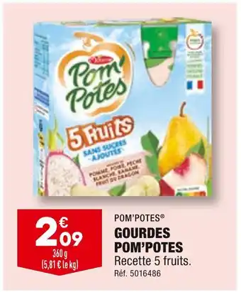 POMâPOTES GOURDES POMâPOTES