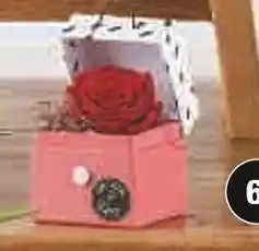 Super U ROSE ETERNELLE offre