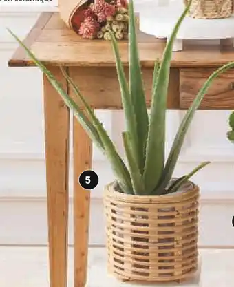 Super U ALOE VERA offre