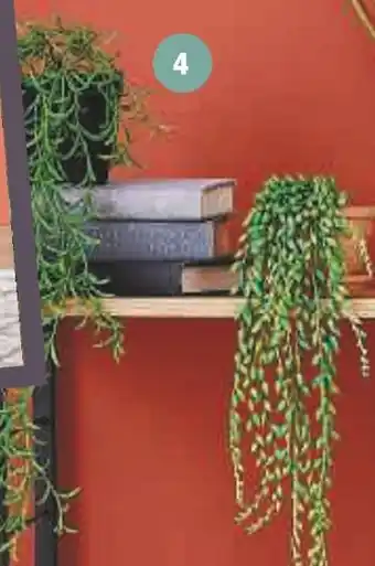 Super U FOIRE A LA PLANTE ARTIFICIELLE offre