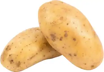 Pomme de terre Charlotte