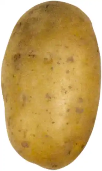 Gamm vert Pomme de terre résistante au mildiou offre