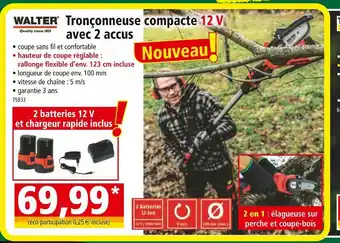 Norma WALTER Tronçonneuse compacte 12 V avec 2 accus offre