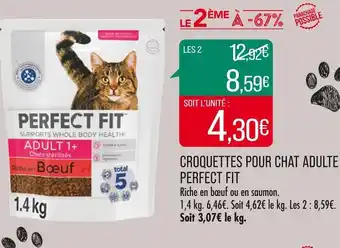 Match PERFECT FIT CROQUETTES POUR CHAT ADULTE offre