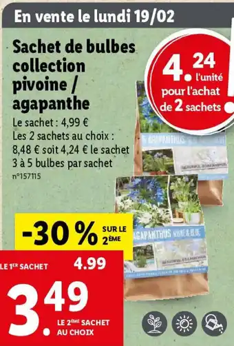 Lidl Sachet de bulbes collection pivoine / agapanthe offre