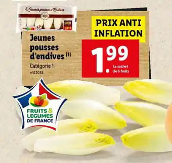 Lidl Jeunes pousses d'endives (1) Catégorie 1 offre