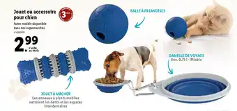 Lidl Jouet ou accessoire pour chien offre