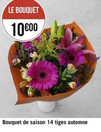 Bouquet de saison 14 tiges automne