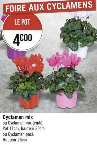 Géant Casino Cyclamen mix offre