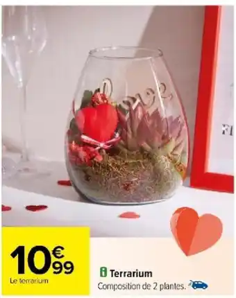 Carrefour Terrarium offre