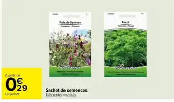 Sachet de semences Différentes variétés