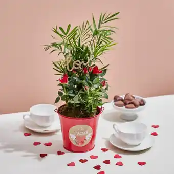 Carrefour Market Composition Amour (h) offre