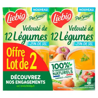 Carrefour Market LIEBIG Soupe offre