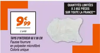 Netto TAPIS D'INTERIEUR 60 X 90 CM offre