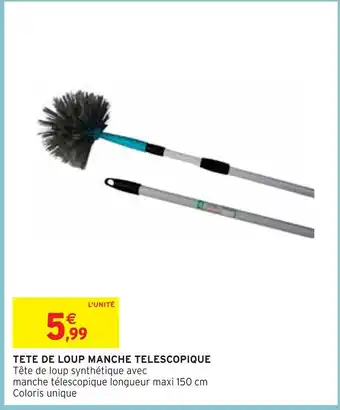 Intermarché TETE DE LOUP MANCHE TELESCOPIQUE offre