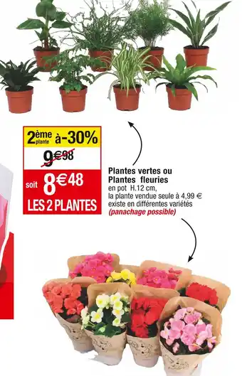Cora x Carrefour Plantes vertes ou Plantes fleuries offre