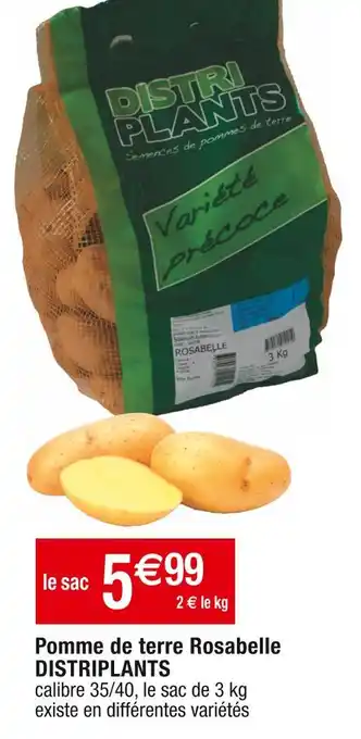 Cora x Carrefour DISTRIPLANTS Pomme de terre Rosabelle offre