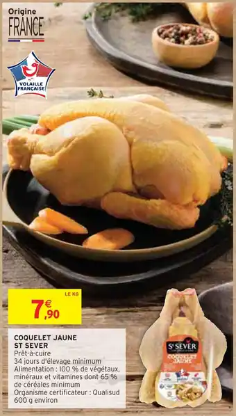 Intermarché ST SEVER COQUELET JAUNE offre